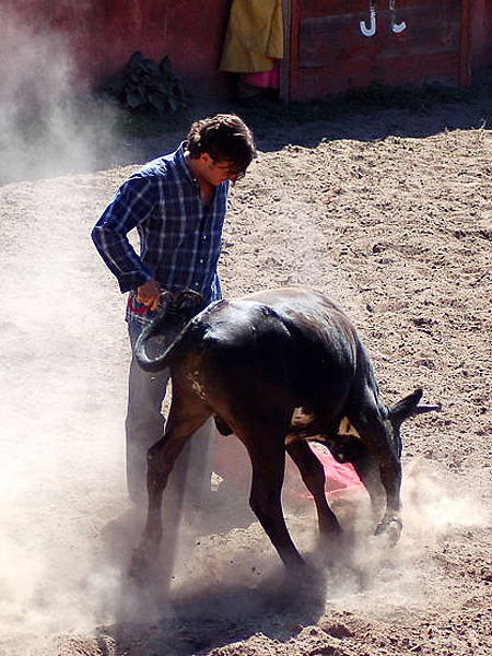 Francisco Guti�rrez