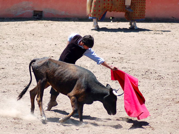 Largo trazo de Ferm�n Rivera