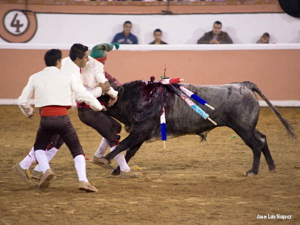 M�s voluntad que lucimiento