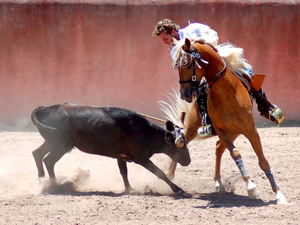 Dej�ndose llegar la embestida