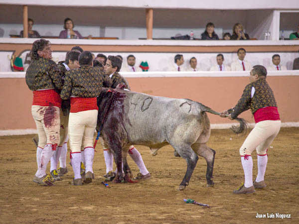 Valientes mazatlecos
