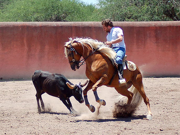 A lomos del espectacular Rafaelito