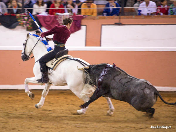 Las crines por capote