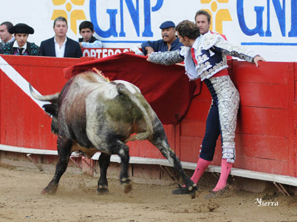 Cuaj� un faena variada