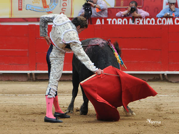 Serie de de sometimiento puro