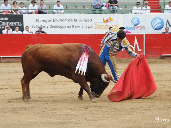 Dibuj� naturales en c�mara lenta