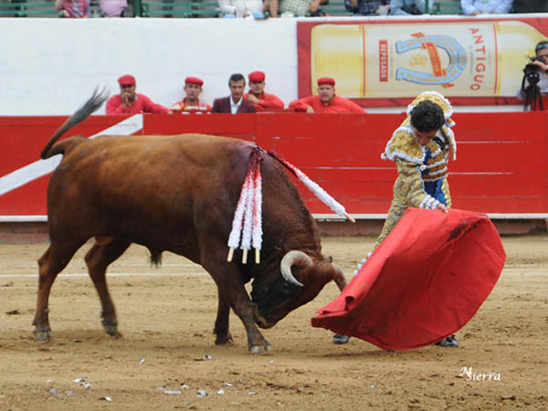 Siempre ha destacado su clase