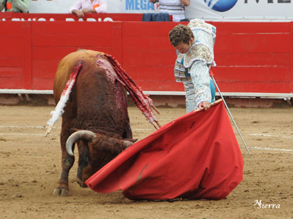 Sin opciones con el casta�o