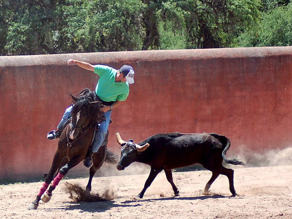 Jorge Hern�ndez Andr�s