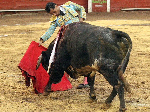 Tray�ndolo muy toreado