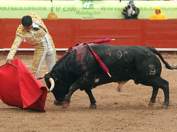 Extraordinario trazo