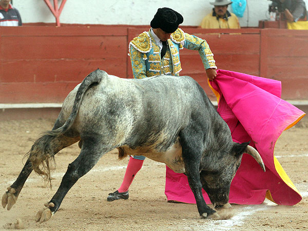 El de Ordu�a con el capote