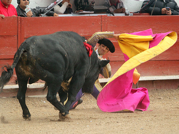 El Cejas a por todas