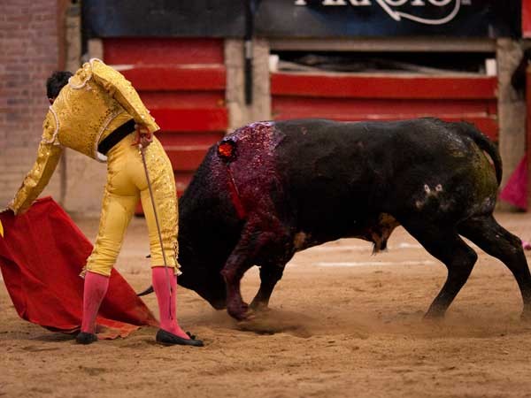 Solanilla, con su segundo