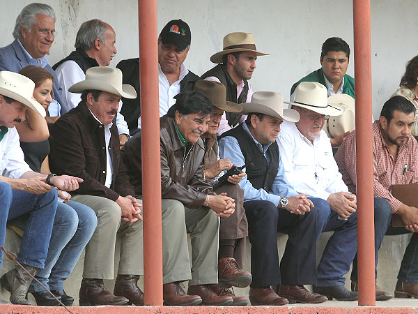 En la plaza de tientas