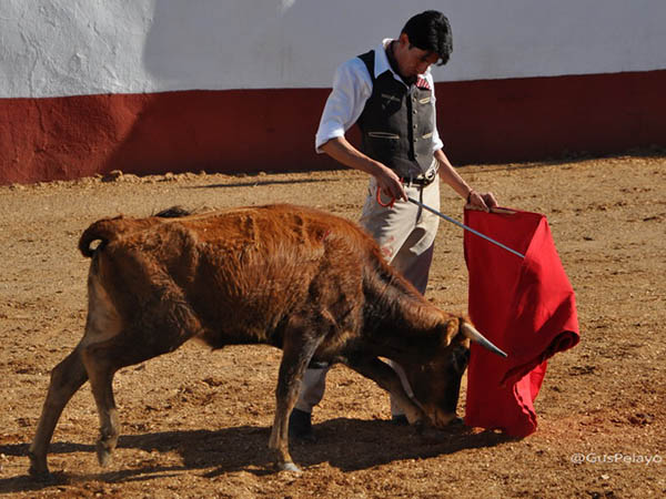 La fijeza de la erala