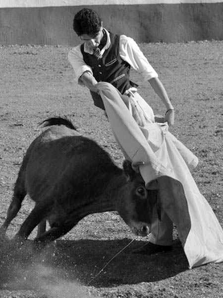 Creatividad de orfebre