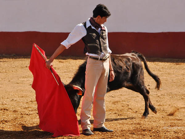 Cambiado por la espalda