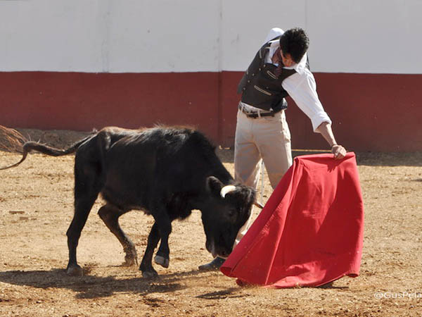 Pr�logo por la izquierda