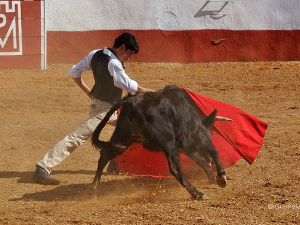 Doblones de Pepe Murillo