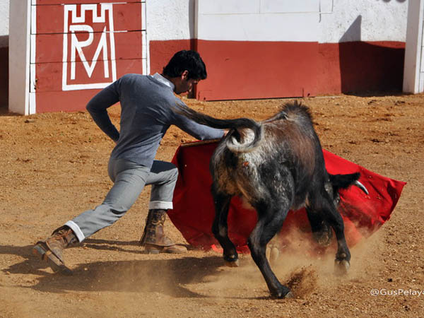 Calibrando a la vaquilla