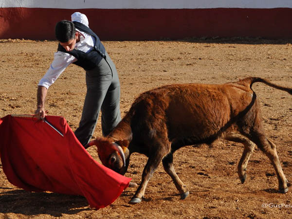 La muleta de Arturo de Alba
