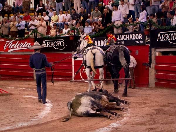 Vuelta al ruedo para el de Marr�n