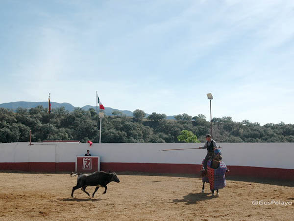 Inicia la jornada campera