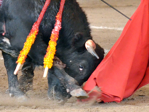 �As� o m�s humillado?