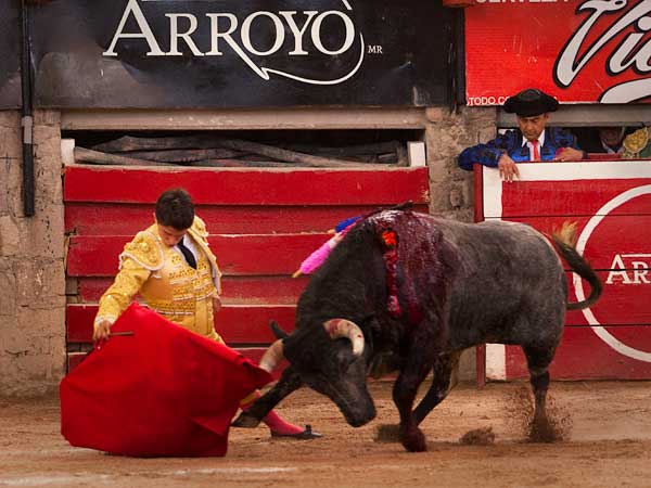 Elegante inicio de faena
