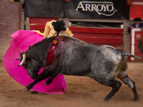 Bien de capote Solanilla