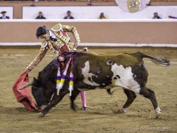 Derechazos al berrendo
