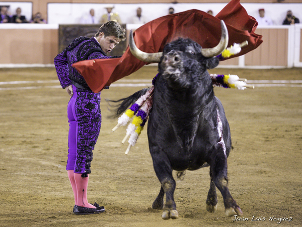 Serenidad de maestro