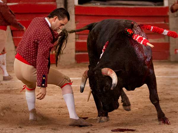 El rabillero hizo bien lo suyo