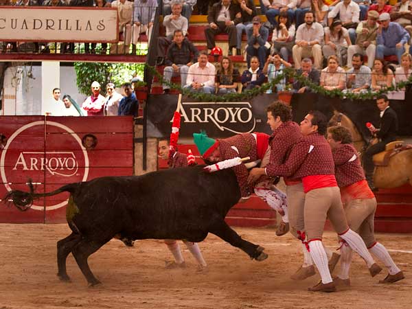 Le echaron valor los forcados