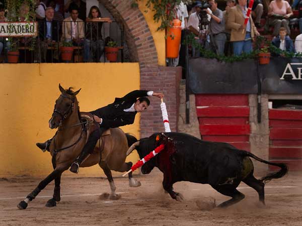 La suerte del viol�n