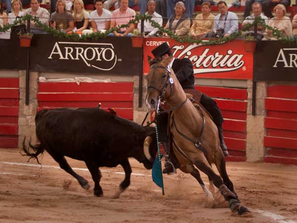 Bien rod� el joven caballista