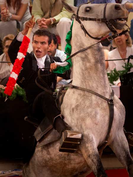 Juli�n Viveros, ilusi�n