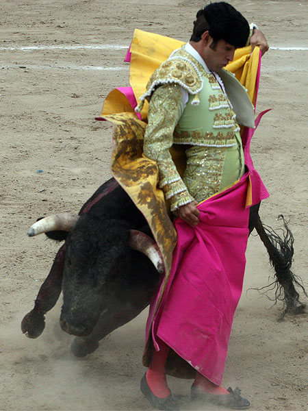 Embarrandose al toro