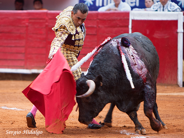 Como los buenos vinos