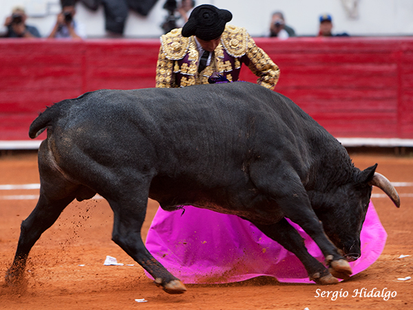 Gallard�a ante el duro compromiso