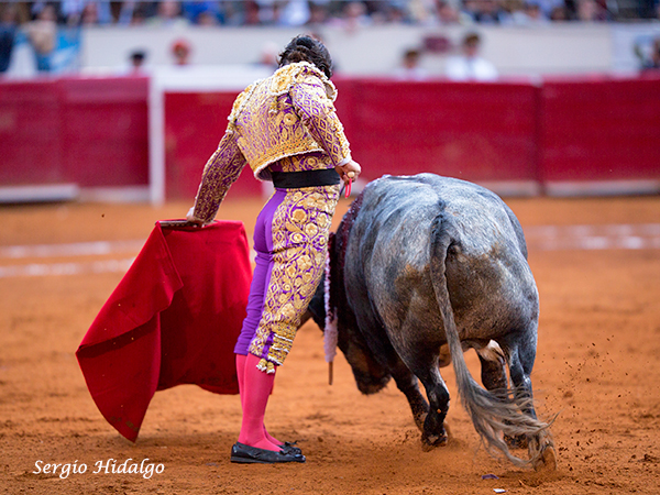 Un deleite verlo torear