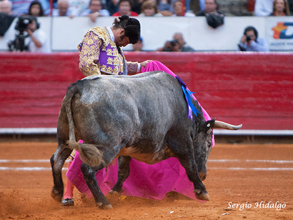 Morante puso el arte