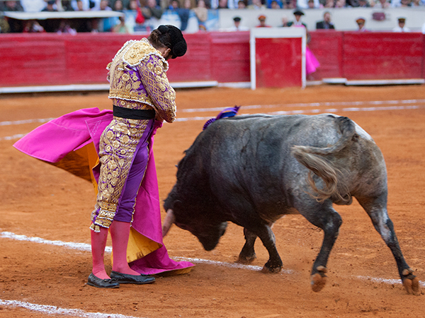 Aguantando a pie firme