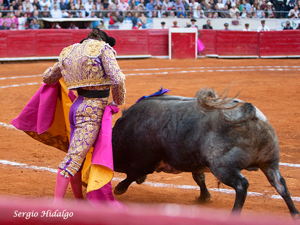 Haciendo vibrar al tendido