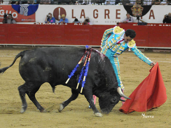 Por encima de su lote