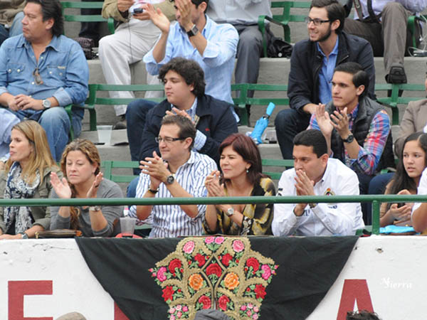 Palmas en las barreras