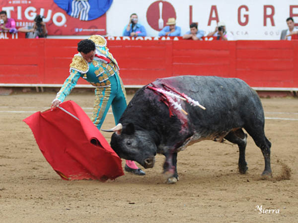 Series de buena factura