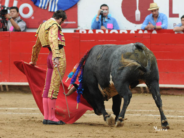 La mejor tanda con la cobradora