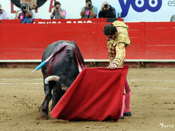 Naturales en c�mara lenta